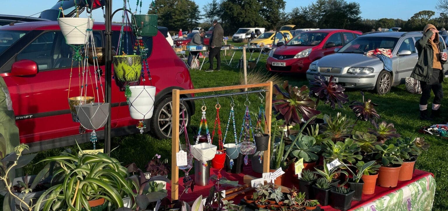Plants and handmade goods for sale beside parked cars at Farmer Palmer's Tuesday car boot. Source: https://www.farmerpalmers.co.uk/wp-content/uploads/Website-Tiles-Size-2023-11-20T133630.280-1536x723.jpg