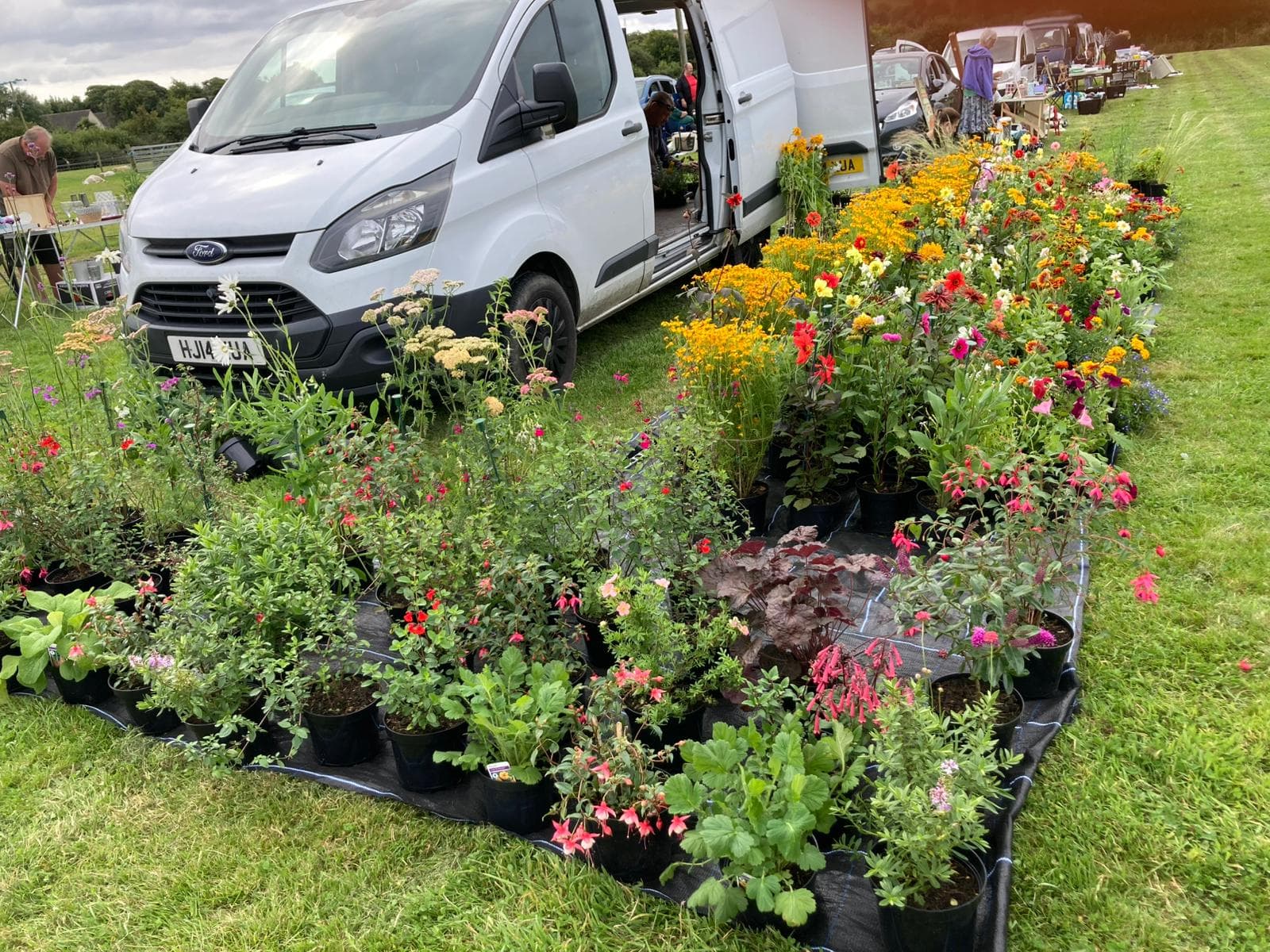 A van and a colourful plant stall at Mitchell Car Boot Sale Source: https://www.carbootscornwall.co.uk/locations/mitchell